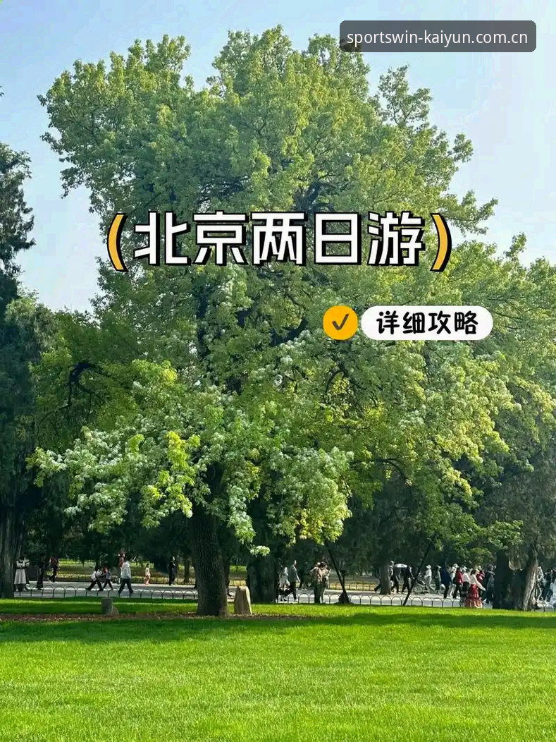 开云体育官网会员中心完整使用指南：新手注册到深度体验全攻略